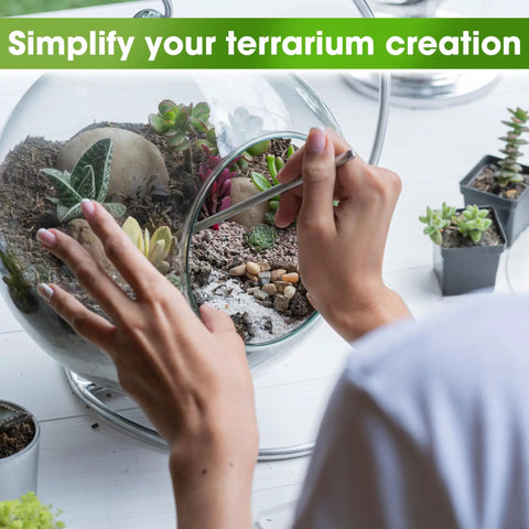 All In One Terrarium Kit With Premium Soil Mix Pumice Zeolite Moss Sphagnum Moss Decorative Stones Mesh And Tools For DIY Terrariums
