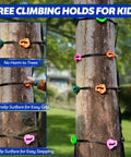 Tree climbing holds with colorful grips, secured to a tree for outdoor play. Includes nonslip surface and adjustable straps.