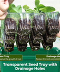 Elevated Seed Starter Kit With Grow Light And Adjustable Humidity Dome, 6 Pack Seedling Trays showing clear trays with drainage holes