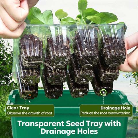 Elevated Seed Starter Kit With Grow Light And Adjustable Humidity Dome, 6 Pack Seedling Trays showing clear trays with drainage holes