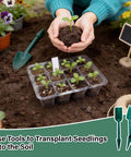 Person transplanting seedling using Six Pack Seed Starter Kit With Grow Light And 72 Cell Plant Starter Trays into garden soil