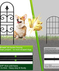 Comparison of 32-inch tall decorative metal garden fence panel with dog vs standard 24-inch fence, highlighting rustproof features.