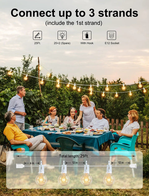 Outdoor String Lights 25 Feet G40 Globe Bulbs With 27 Edison Glass Bulbs Plus 2 Spares hanging over a garden dinner setup