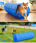 Dog using Dog Agility Course Backyard Set For Training And Totally Fun, Easy Setup Obstacle Kit With Tunnel indoors and outdoors