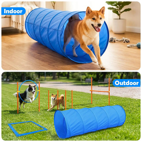 Dog using Dog Agility Course Backyard Set For Training And Totally Fun, Easy Setup Obstacle Kit With Tunnel indoors and outdoors