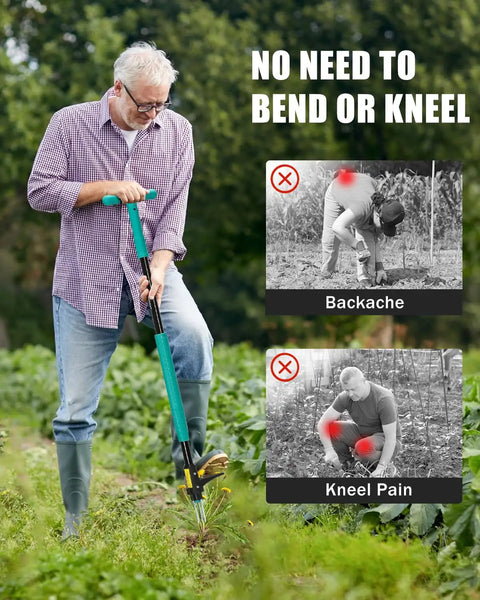 Man using Heavy Duty Stand Up Weed Puller Tool With 3 Claw Detachable Head And Long Handle For Lawn Yard And Garden Pulls Crabgrass