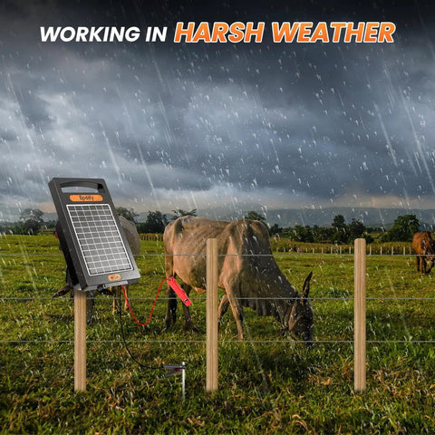 All Day Solar Electric Fence Charger Delivers 0.18 Joule Pulse For Up To 10 Miles Of Fence, Portable Solar Energizer in rain