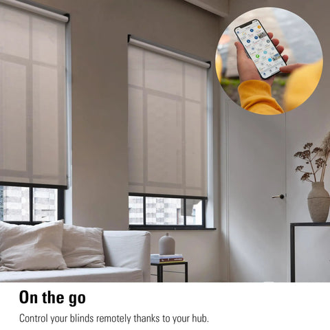 Smart Roller Blind Motor Upgrade Kit For Home Automation Open And Close Automatically Voice And App Control visible in modern room