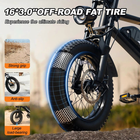 Mountain Electric Bike For Adults With 16 Inch Fat Tire Wider Seat 800W Peak Motor Removable Battery Front Suspension Fork