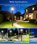 LED Post Top Light 60W/80W/100W Tunable 3000K 4000K 5000K With Photocell illuminating driveway and gardens