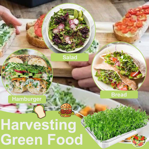 Stainless Steel Sprouts Growing Kit 2 Tier 10 Inch Trays Microgreens Seed Sprouting Tray With Encrypted Mesh Filters For Beans Alfalfa Broccoli Wheatgrass And More, showcasing harvested greens used in salad, sandwich, and bread.