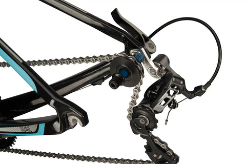 Bike with DH-1 Dummy Hub for Rear Dropouts No-Fuss Chain Cleaning and Transport Solution, black, rear dropout view