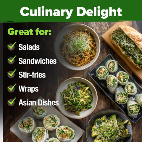 Assorted dishes with broccoli sprouts including salads, sandwiches, stir-fries, and wraps; culinary uses of sprouts.