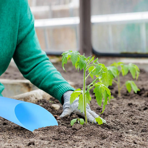 Gardener using Plastic Bonsai Soil Scoop 6.3 Inch By 1.8 Inch White Mini Garden Shovel in soil with young plant