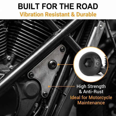 All In One M6 10.9 Grade Alloy Steel Hex Socket Bolts Nuts Washers Kit 261-Piece Fastener Set used on motorcycle frame
