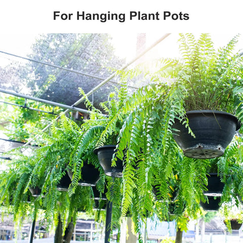 Potted ferns hanging on rods in a garden, showcasing ideal use for Extra Long S Shape Hanging Hooks Set Dope Matte Silver Finish