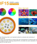Beast Mode Bright Underwater Dive Light With 25000 Lumens color modes for underwater photography and video, 100m waterproof, Type C charging.