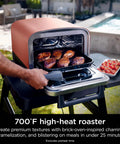 Woodfire Outdoor Pizza Oven 8 In 1 Portable Electric Roaster Heats Up To 700 Degrees Fahrenheit Terracotta Red