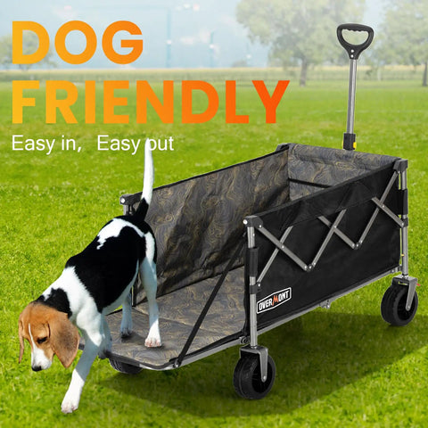 Tailgate Design Heavy Duty Collapsible Wagon With All Terrain Wheels For Outdoor Camping Beach And Garden A 300 Lb Capacity Utility Cart For Sports Groceries Tents And Bulk Gear, shown with a dog entering, on grass, folding handle.