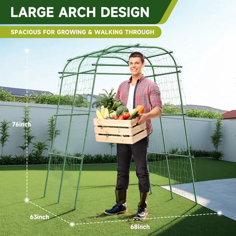 Man holding wooden crate of vegetables standing under Big Garden Arch Trellis For Climbing Plants 63 Inch Long 68 Inch Wide 76 Inch High Heavy Duty Metal Cucumber Tomato Vine Support With Rustproof Frame Includes Nylon Netting And Gloves For Raised Beds And Veggie Gardens.