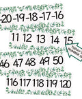 Boho Number Line Bulletin Border Set 34Ft For Classrooms With Minus 20 To 120 Numbers And Todays Number Card featuring eucalyptus leaves