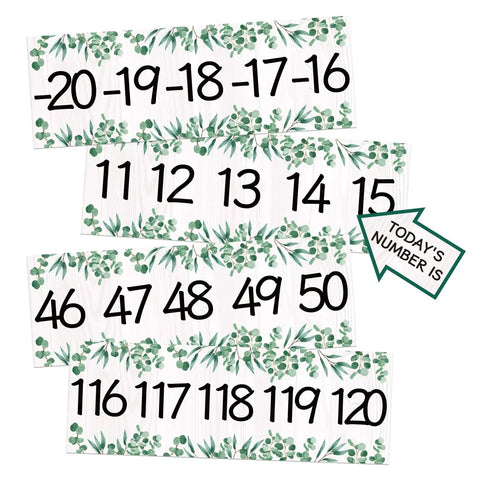 Boho Number Line Bulletin Border Set 34Ft For Classrooms With Minus 20 To 120 Numbers And Todays Number Card featuring eucalyptus leaves