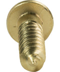 Close-up view of No Nonsense Brass Wood Screws Slotted Round Heads Size Two Deep Coarse Threads for DIY woodworking.