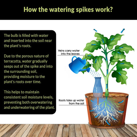 Diagram of Extra Large Drip Irrigation Stakes No Fuss Easy Refill Four Week Watering System illustrating moisture distribution.