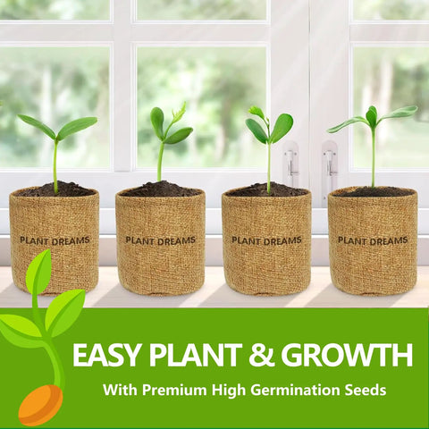 Beginner Friendly Bonsai Starter Kit With Seeds And Tools All In One Indoor Tree Growing Set For Living Plants in burlap pots