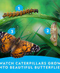 Butterfly Habitat Kit With Voucher For Five Caterpillars, Includes Mesh Cage With See Through Lid, Easy Setup Growth Kit