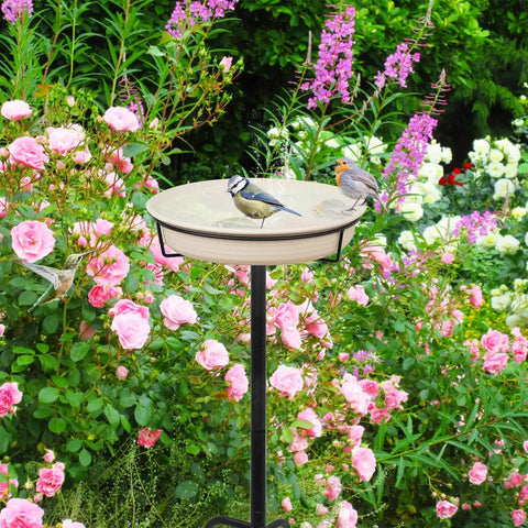 Heavy Duty Outdoor Bird Bath With Detachable Bowl And Feeder, 35.5 Inch Tall Stand in garden with birds