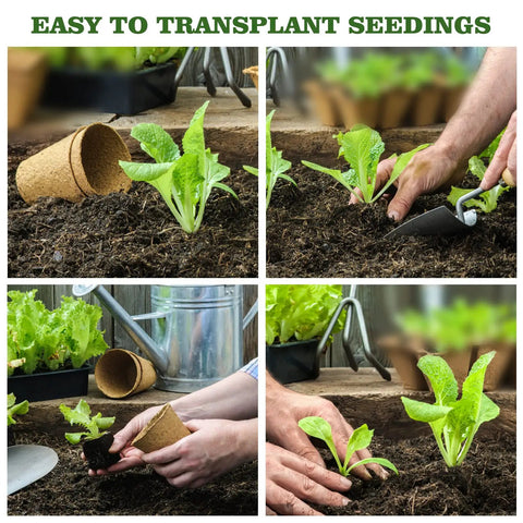 40 Pcs 3.15 Inch Eco Friendly Biodegradable Peat Pots Seedling Starters Kit With 10 Labels used for planting seedlings in garden.