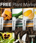 Five Pack Of Homegrown Squash Seeds Delicata Butternut Zucchini Spaghetti And Golden Crookneck For A Non GMO Heirloom Veggie Patch For Easy Planting In Raised Beds Or Small Yards with plant markers and gardening tools.