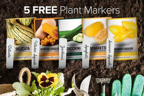 Five Pack Of Homegrown Squash Seeds Delicata Butternut Zucchini Spaghetti And Golden Crookneck For A Non GMO Heirloom Veggie Patch For Easy Planting In Raised Beds Or Small Yards with plant markers and gardening tools.