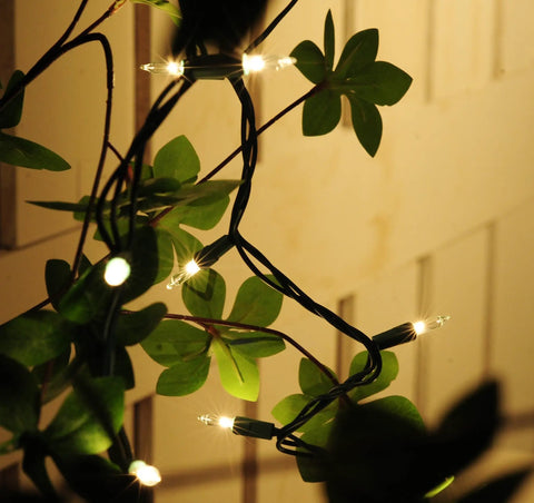 Make Your Holiday Lit With A 35 Count Clear Extra Bright Mini Christmas Lights Set, Eight And A Half Foot Length