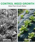 Comparison of garden with and without Heavy Duty Weed Barrier Landscape Fabric 6 Feet By 300 Feet Ground Cover Mat 3.2 Oz Permeable Woven Geotextile For Weed Control Garden Cloth Includes 90 U Shaped Securing Pegs.