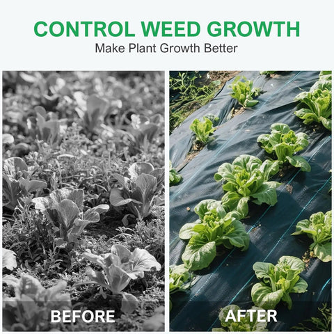 Comparison of garden with and without Heavy Duty Weed Barrier Landscape Fabric 6 Feet By 300 Feet Ground Cover Mat 3.2 Oz Permeable Woven Geotextile For Weed Control Garden Cloth Includes 90 U Shaped Securing Pegs.