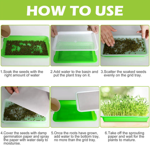 Steps for using Five Pack Seed Sprouter Tray Kit With Drain Holes for Germination Propagation BPA Free Soil Free Wheatgrass Growing