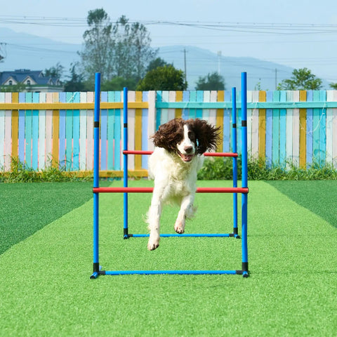 Dog jumping over hurdle from Ultimate Dog Agility Course Backyard Set With 13 Pieces, Adjustable Hurdles, Weave Poles, Jump Ring