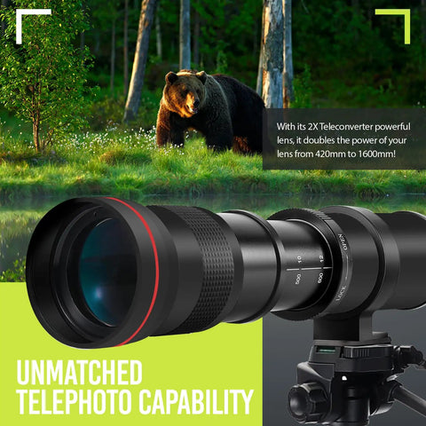 High Power 420 To 1600mm F8.3 HD Manual Telephoto Zoom Lens For EOS Cameras in wildlife setting with bear