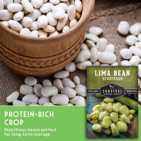 Easy Grow Lima Beans For Garden Beds And Class Projects With High Germination Rates Butter Bean Seeds Non GMO Heirloom Variety Compact Bush Plants For A Quick Harvest In Your Survival Garden Pack