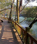 Wooden boardwalk along a scenic lake lined with trees