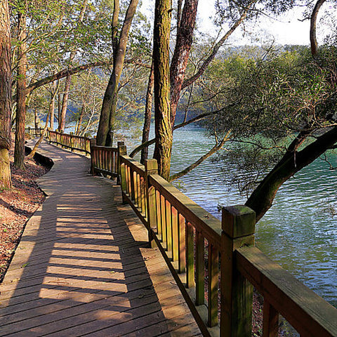 Wooden boardwalk along a scenic lake lined with trees