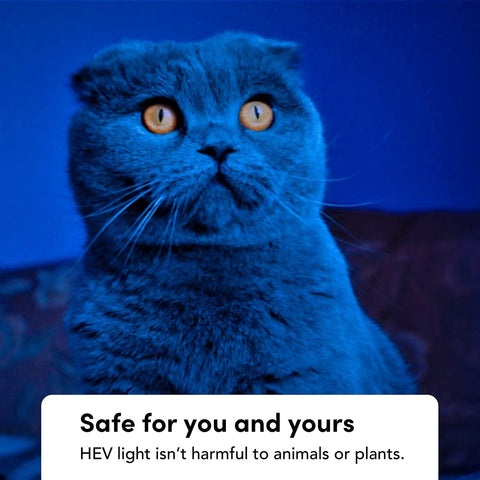 A cat with orange eyes illuminated by a Wi-Fi Smart LED Light Bulb 1100 Lumens, Full RGBW Color, No Hub Required, HEV Antibacterial Mode.