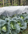 Ultra Fine Garden Netting 10 By 50 Feet For Raised Beds And All Veggies Mosquito And Pest Barrier Mesh protects cabbages