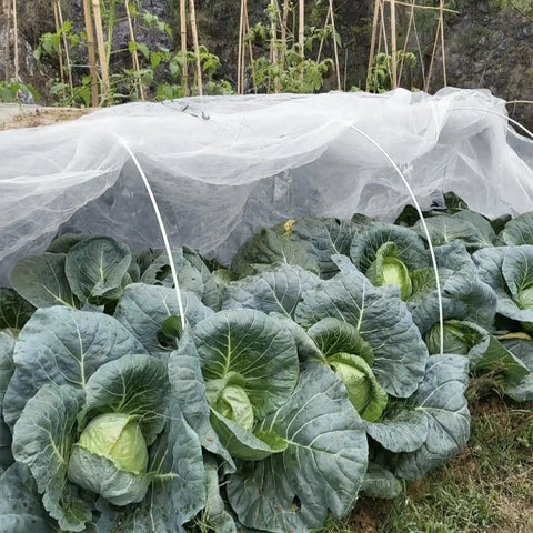 Ultra Fine Garden Netting 10 By 50 Feet For Raised Beds And All Veggies Mosquito And Pest Barrier Mesh protects cabbages