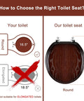 Diagram showing fit for Durable Wood Veneer Toilet Seat With Metal Hinge, Easy Clean And Anti Scratch, Round Size In Dark Walnut Finish.