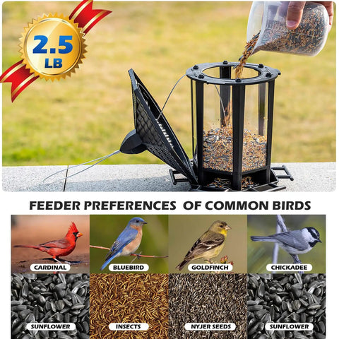 Two Pack Outdoor Hanging Bird Feeders With Retro Pagoda Design, Easy One Minute Assembly, attracts various bird species