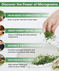 Broccoli Sprouting And Microgreens Seeds Kit 1 Lb Resealable Bag Non GMO Heirloom Sprout Seeds For Soil Coconut Coir Aerogarden And Hydroponics Perfect For Growing Microgreens At Home with benefits of microgreens such as vitamins and fast growth in 5-7 days.