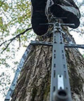 Lightweight 30 Inch Aluminum Tree Climbing Sticks 3 Pack for Secure Ascents to Deer Stands Blinds and Tree Stands with Tree Digger Teeth